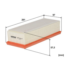 FILTRON AP 134/9 Hava Filtresi | Eşdeğer: MANN C 27 010 | DACIA