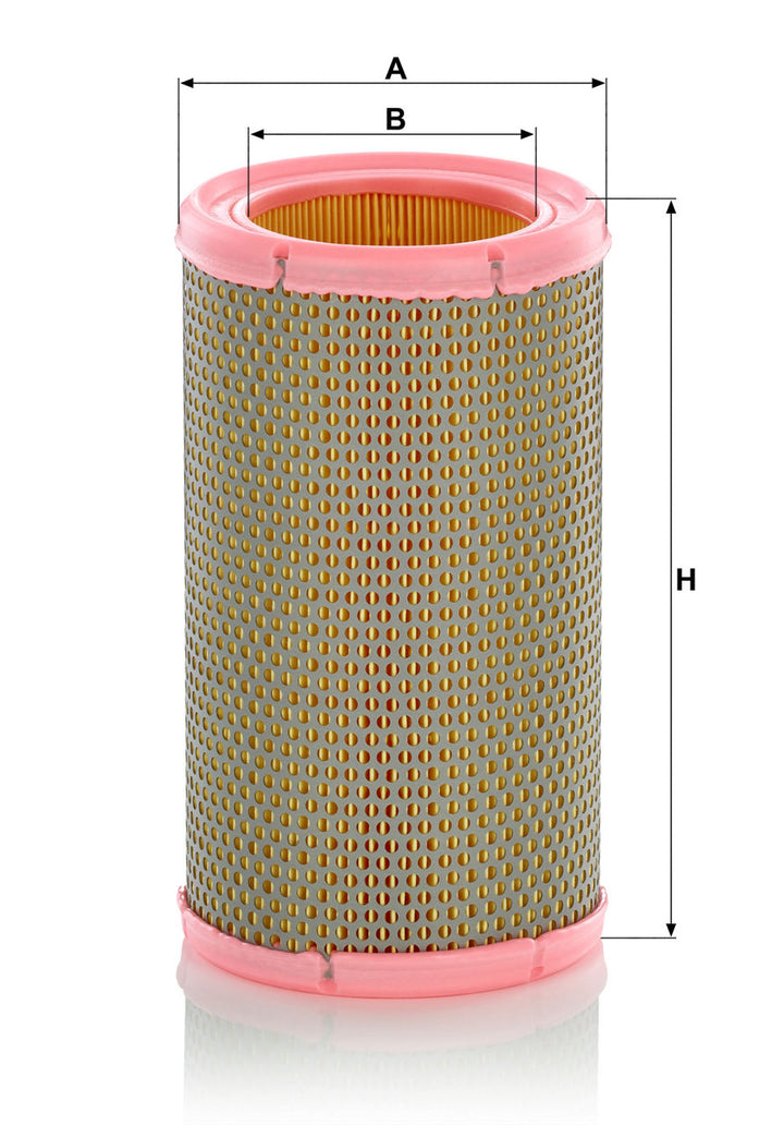 MANN-FILTER C 1380 Hava Filtresi | Renault, Citroen, Peugeot