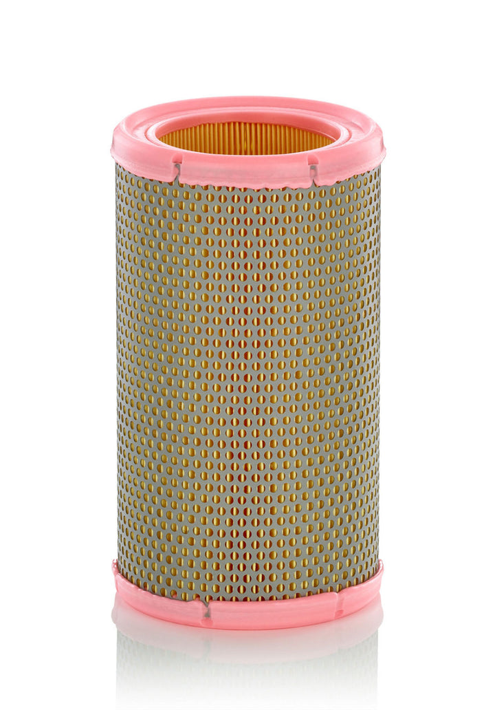 MANN-FILTER C 1380 Hava Filtresi | Renault, Citroen, Peugeot