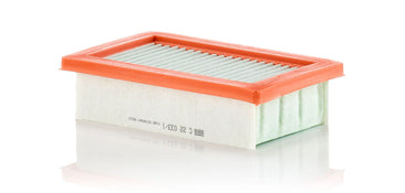 MANN-FILTER C 22 033/1 Hava Filtresi | Renault Twingo III
