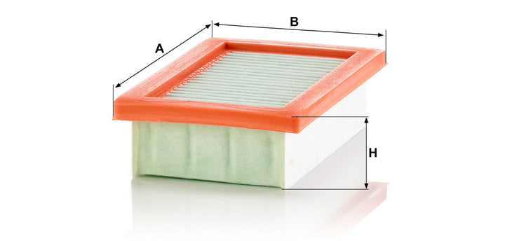 MANN-FILTER C 22 033/1 Hava Filtresi | Renault Twingo III