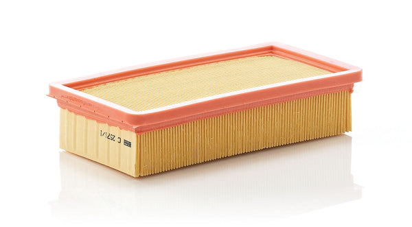MANN-FILTER C 2571/1 Hava Filtresi | Alfa 145, Fiat Tempra