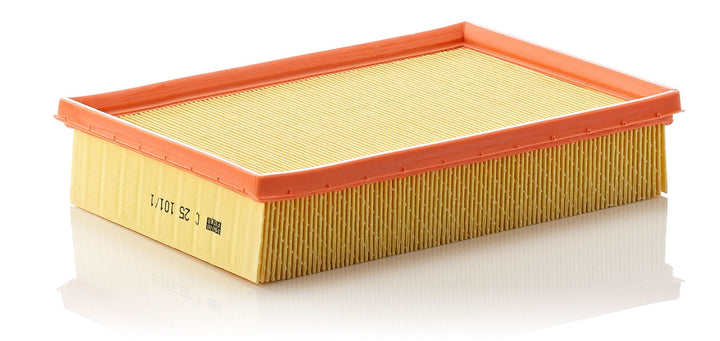 MANN-FILTER C 25101/1 Hava Filtresi | Citroen, Peugeot