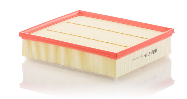 MANN-FILTER C 29 036 Hava Filtresi | VW Caravelle