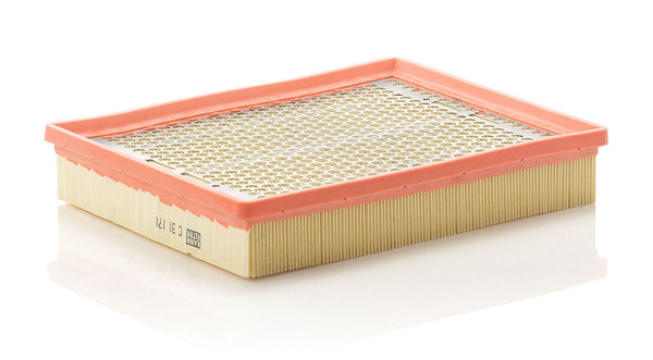 MANN-FILTER C 30 170 Hava Filtresi | Opel Signum, Vauxhall Signum