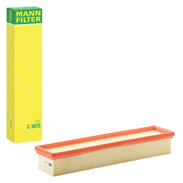 MANN-FILTER C 3875 Hava Filtresi | Renault Clio II / Clio