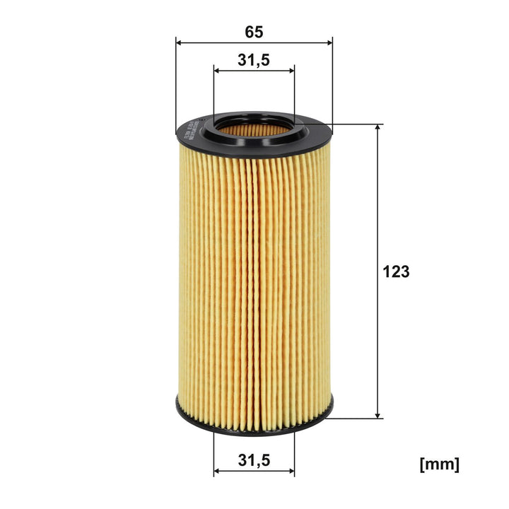 FILTRON OE 650/8 FİLTRE(YAĞ FİLTRESİ)(POLONYA) A.STOK (YAĞ-Audi A4 (8W), A5 (F5), A6 (4G2/4G5), A6 (4A), A7 (4GA), A8, Q5 2, Q7, Q8; 5W Amarok, Touareg)