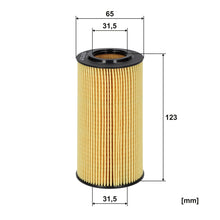 FILTRON OE 650/8 FİLTRE(YAĞ FİLTRESİ)(POLONYA) A.STOK (YAĞ-Audi A4 (8W), A5 (F5), A6 (4G2/4G5), A6 (4A), A7 (4GA), A8, Q5 2, Q7, Q8; 5W Amarok, Touareg)