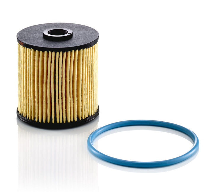 MANN-FILTER PU 7010 z Yakıt Filtresi | Citroen Berlingo II