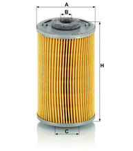 MANN-FILTER P 707 Yakıt Filtresi | Seat 132, Dodge 42-Serie
